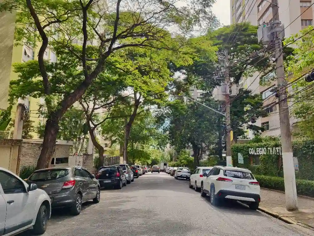 Rua arborizada com carros estacionados, mostrando a tranquilidade do local no bairro do Paraíso em um dia ensolarado.