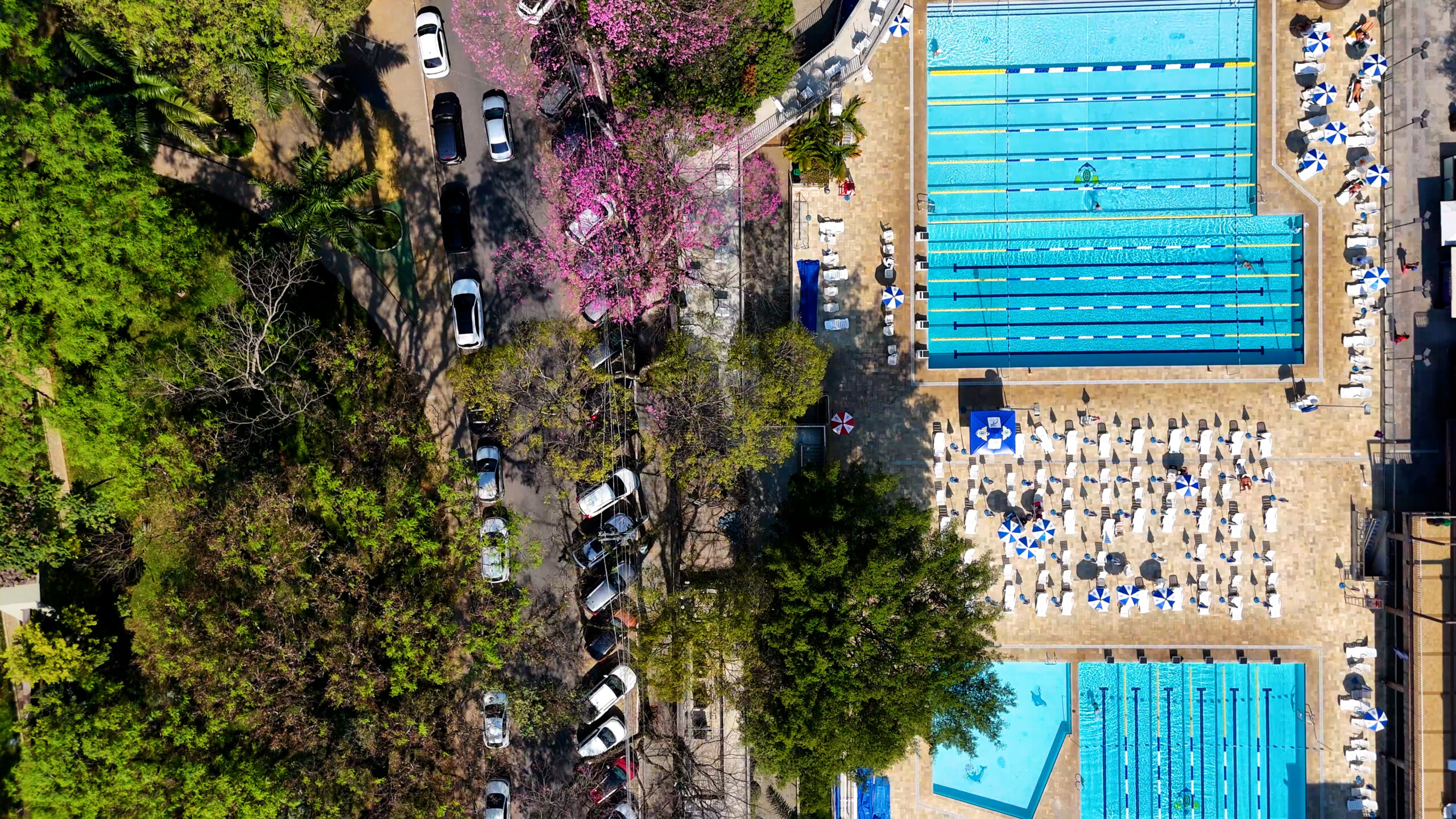 Bairro Paraíso